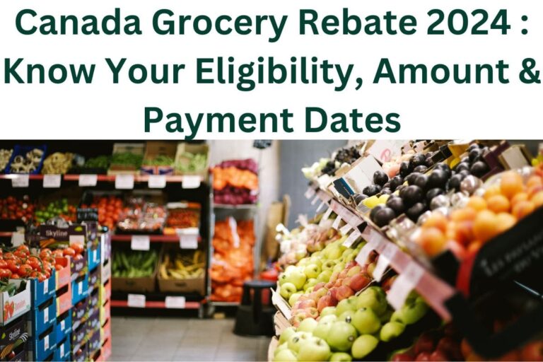 Canada Grocery Rebate 2024 Know Your Eligibility Amount Payment   Canada Grocery Rebate 2024 768x512 