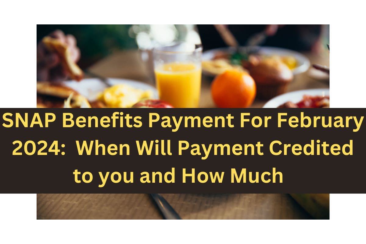 SNAP Benefits Payment For February 2024 : When SNAP Payment is Coming ?  Know Payment Date, Amount - EJSR Magazine